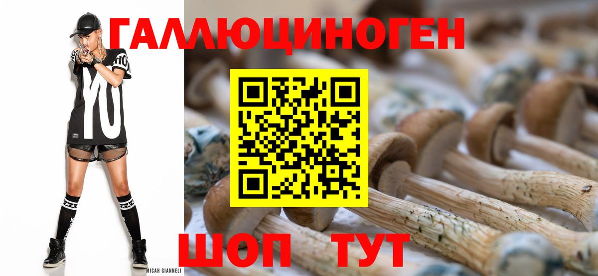Галлюциногенные грибы прущие грибы  Вход с VPN  Рубцовск 