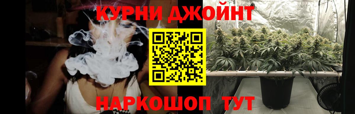 Бошки марихуана планчик  Вход с VPN  Канабис White Widow  Рубцовск  МАРИХУАНА семена 